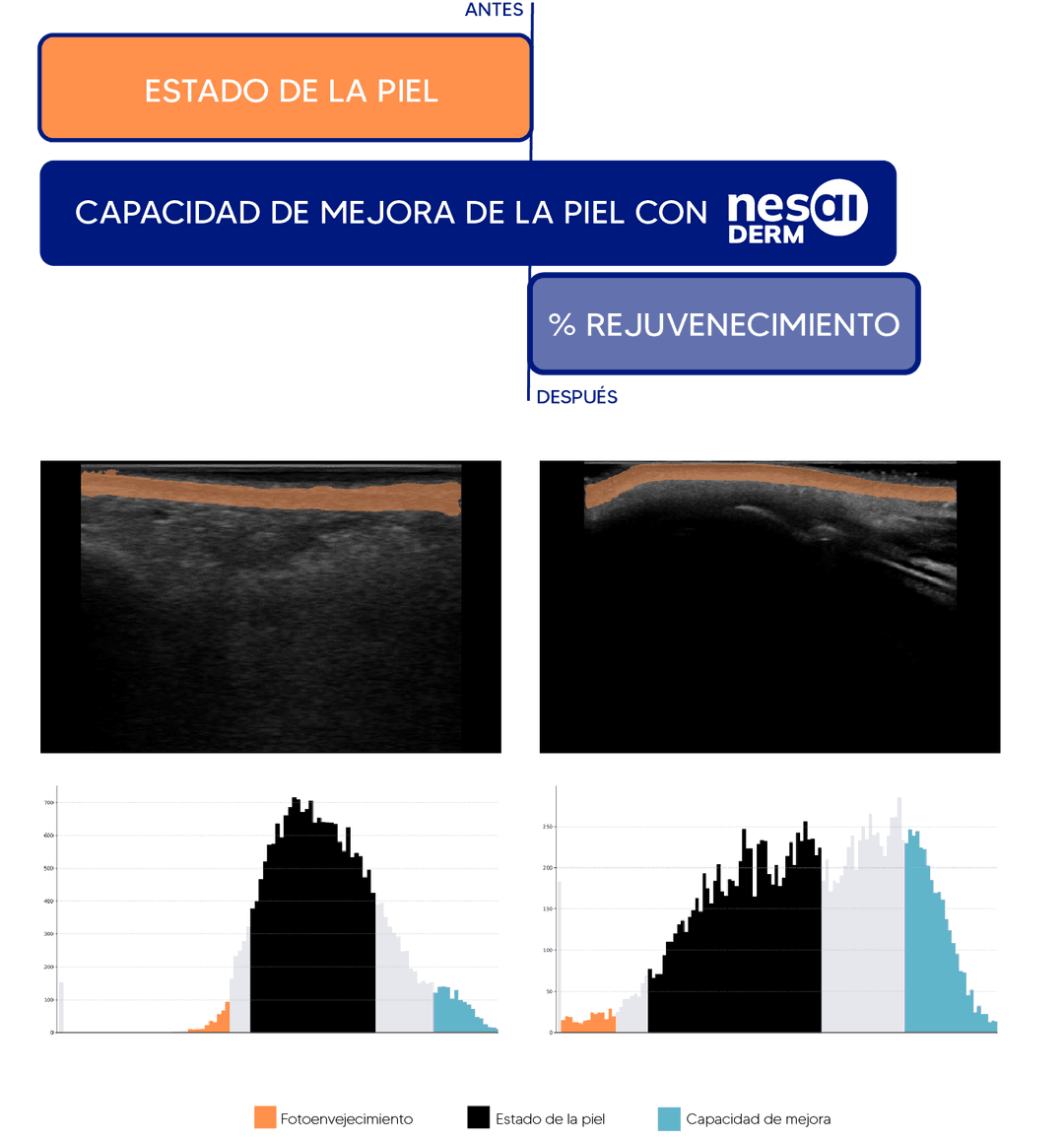Imagen derecha de Nesai DERM