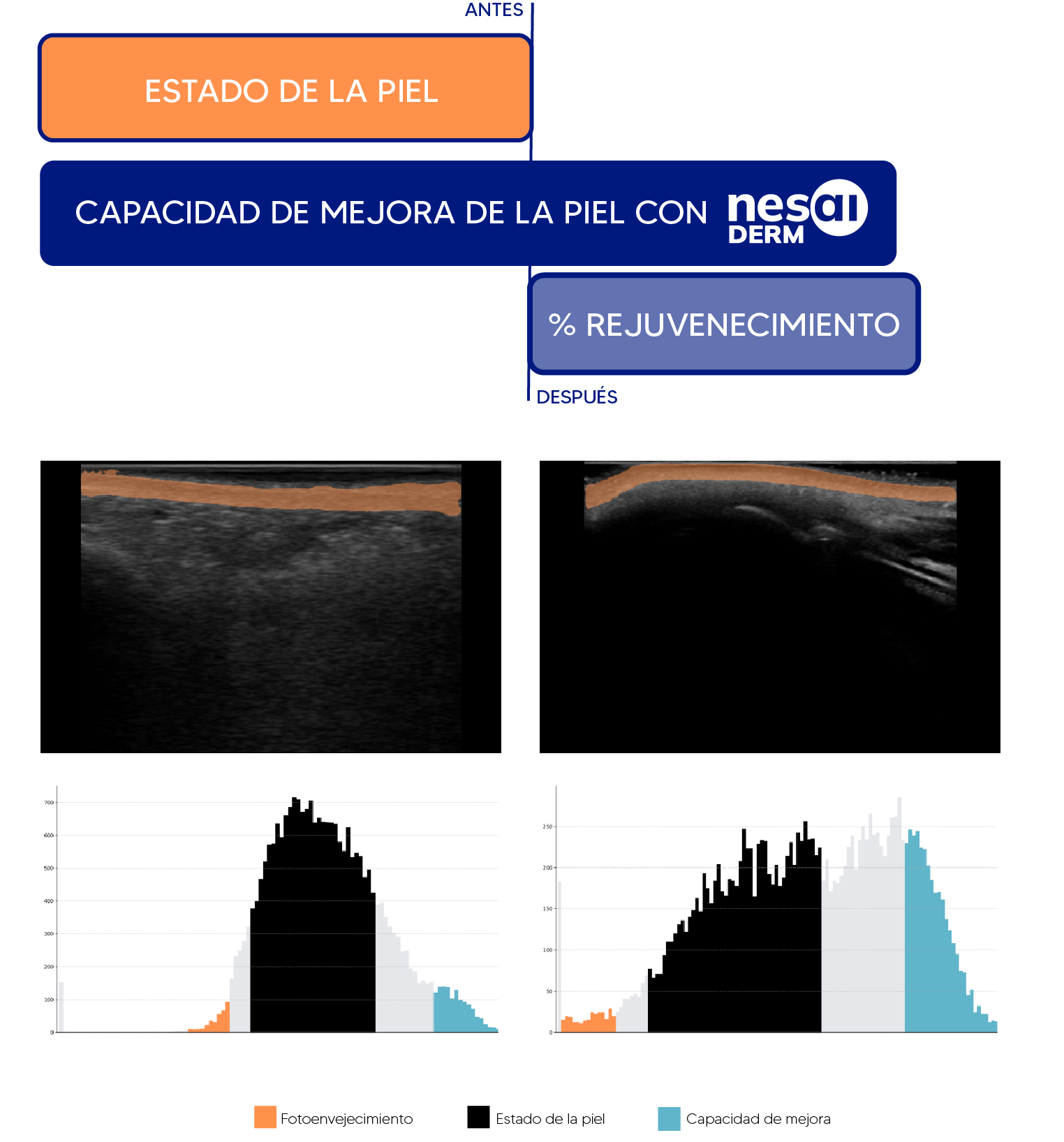 Imagen derecha de Nesai DERM